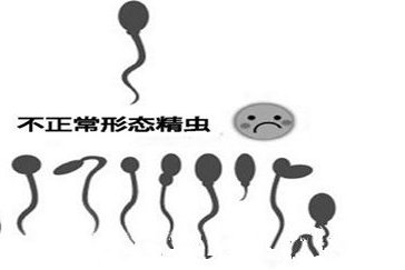 六安市中医院洗精费用多少钱？试管婴儿移植成功后检查流程有哪些？