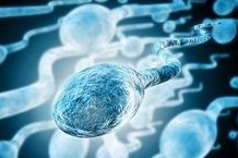 试管婴儿促排卵有什么作用？正确促排方法是什么？