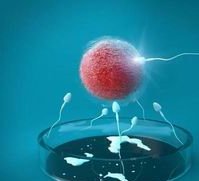 聚焦泰国：三代试管婴儿医院的实力比拼与选择指南！