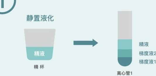 在广州做试管婴儿成功率高吗？治疗流程是怎么样的？