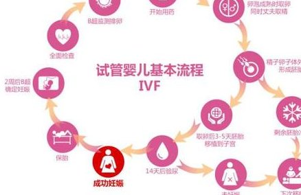 死精率80%的男性可以在市中区做三代试管吗？公开2026做三代试管条件